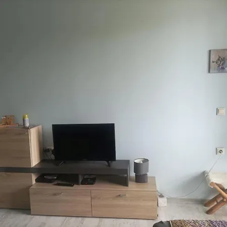 Central Studio Maritsa 플로브디프